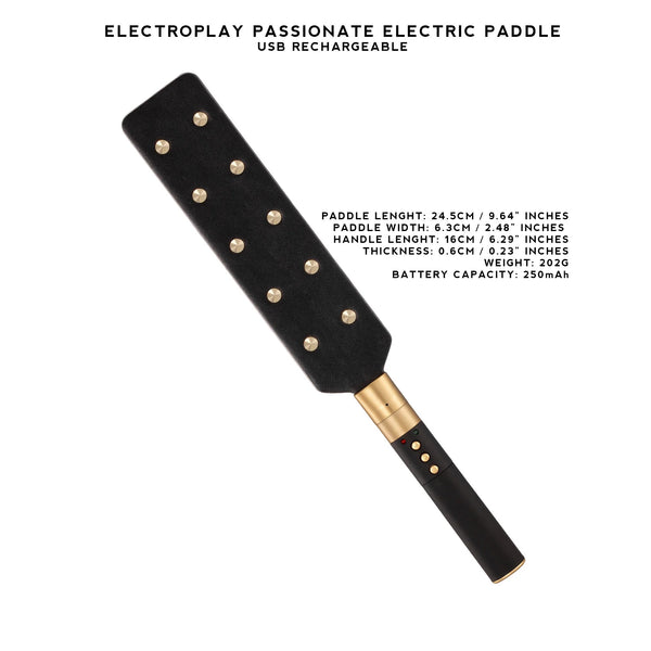 Electric Whip Cane Paddle Baton Electroplay