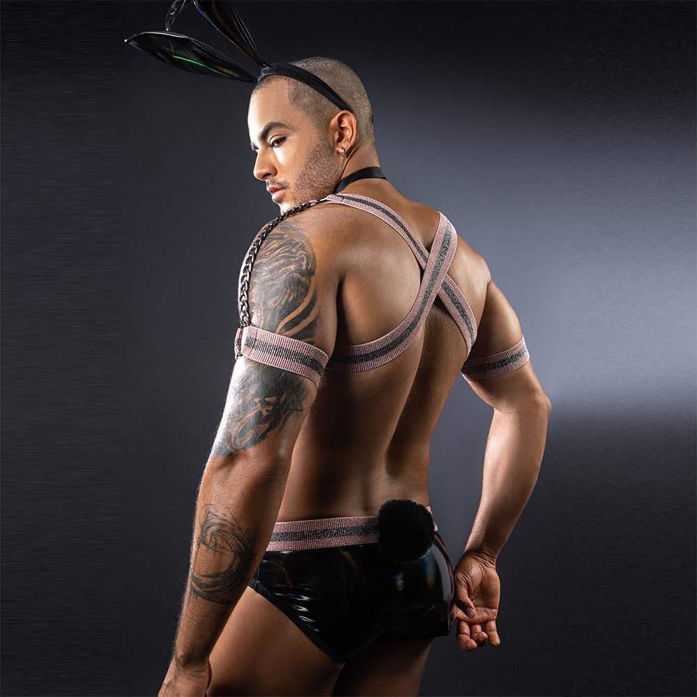 BDSM Rabbit costume Men's cosplay Sexy Underwear police Costume Lingerie Pajamas Uniform bar Nightclub Stage Performance party Christmas