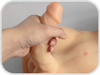 Sex Dolls Lifelike Sex Toys for Men and Women (Flesh Shemale)