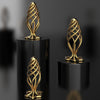 Sevanda Pinecone Hollow Spiral Anal Plug for Unisex Uses
