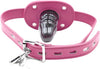 Lockable dildo gag with adjustable straps, realistic penis gag with lock
