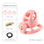 Flat & Small Chastity Cage Set
